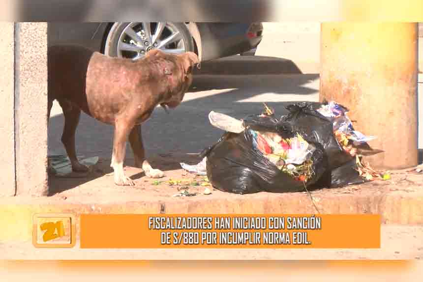 Chilca: multan a 50 personas por arrojar basura a las calles (VIDEO)