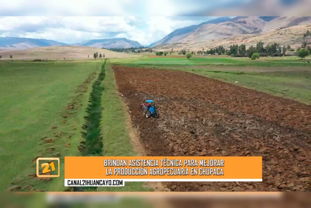 Brindan asistencia técnica para mejorar la producción agropecuaria en Chupaca (VIDEO)