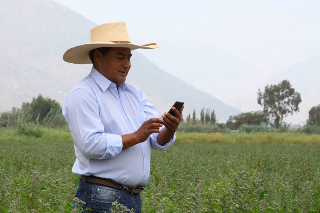Productores pueden consultar de manera gratuita los precios, agua y clima desde teléfono móvil
