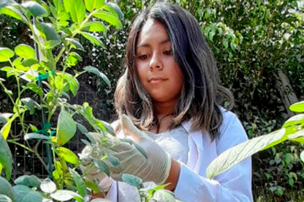 Seis acciones que podemos realizar desde la universidad para cuidar el medioambiente