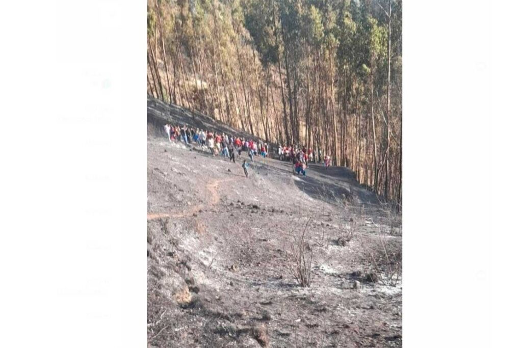 Huancavelica: Cuatro muertos deja incendio forestal que se registró en el distrito de Anco