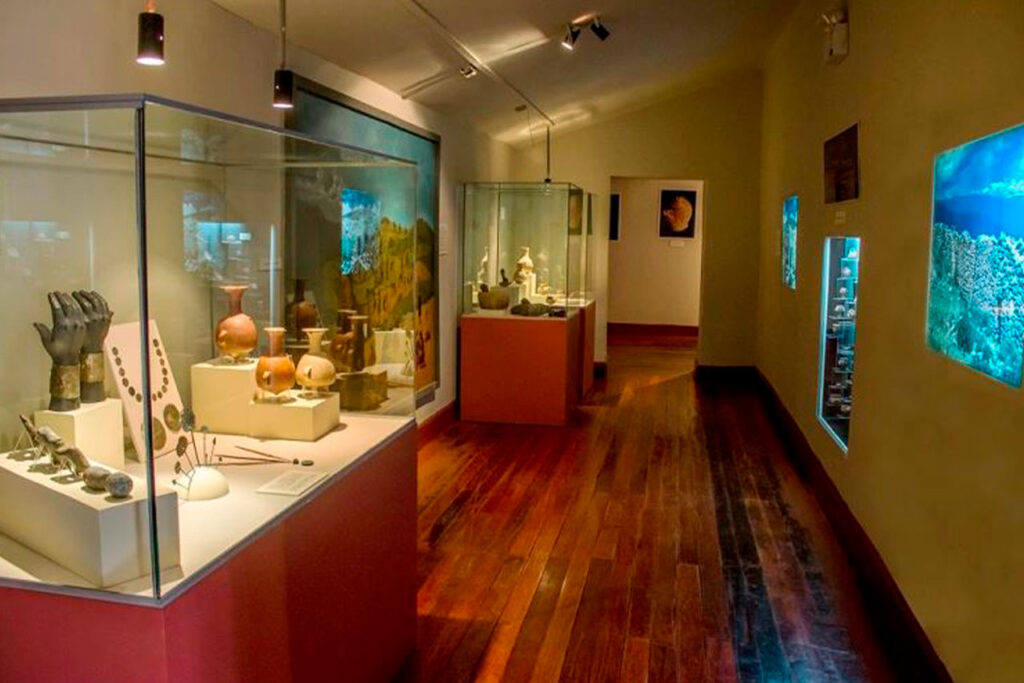 Chilca: Conoce los nuevos horarios y tarifas de ingreso al Museo Regional de Arqueología de Wariwillka