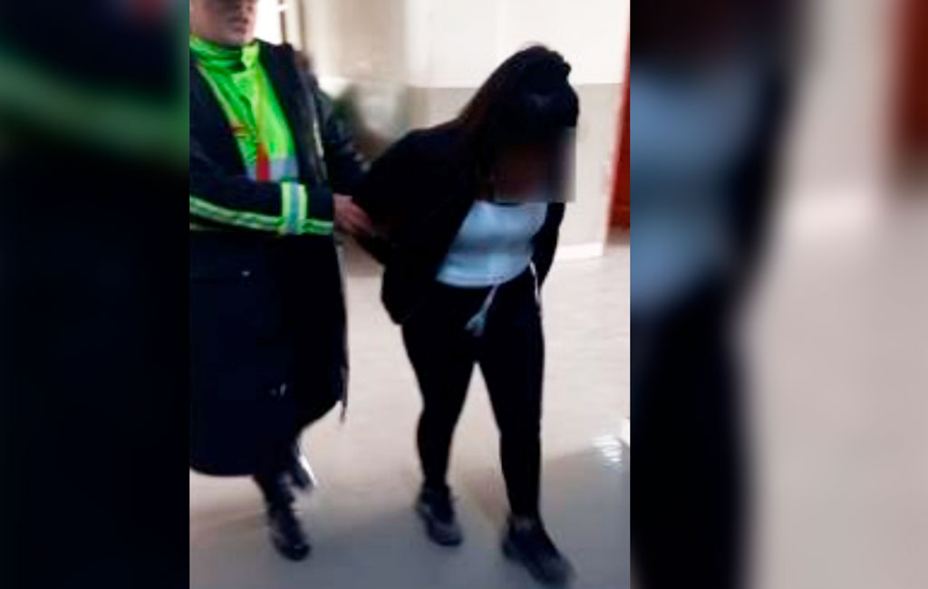 Capturan a una mujer por un presunto hurto