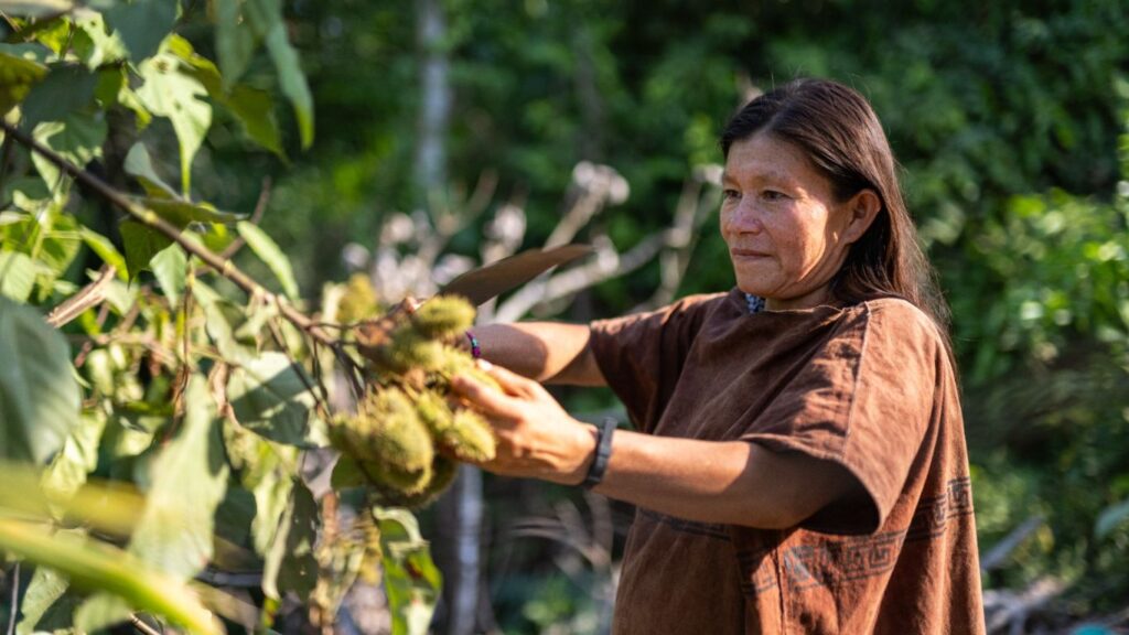 “Frutos de la Amazonía”: Destinan más de un US$ 1 millón para financiar negocios sostenibles en la selva peruana